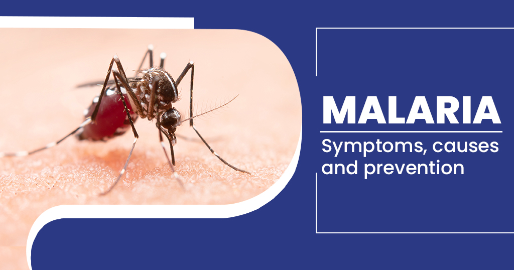 तापमान के बढ़ते ही, मच्छर मचा देते हैं कोहराम! आईए जानते हैं इसके लक्षण और बचाव